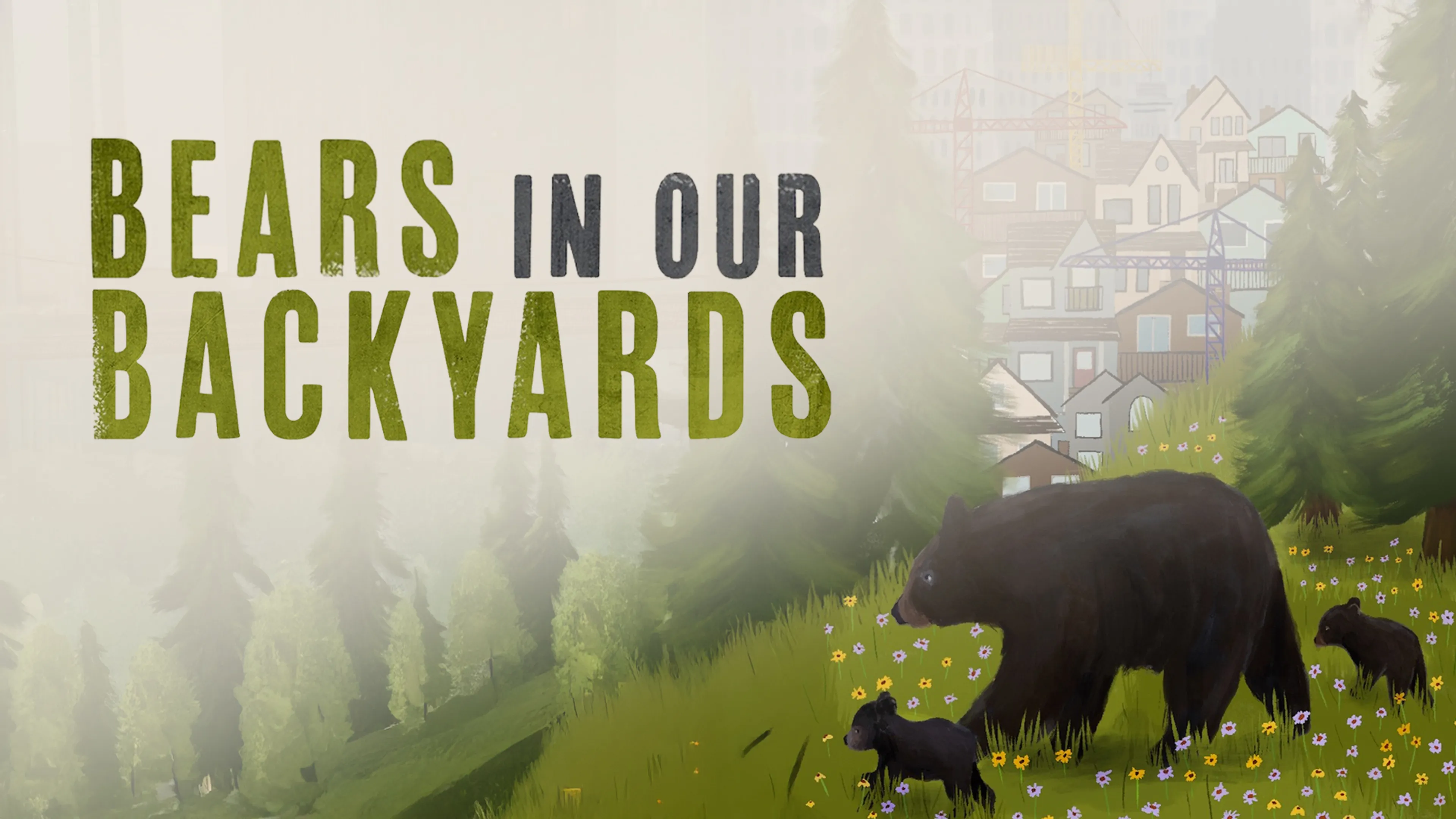 Bears in our Backyards poster